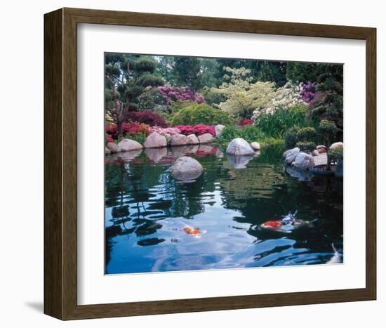 Water Garden I-null-Framed Art Print