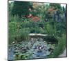 Water Garden II-null-Mounted Art Print