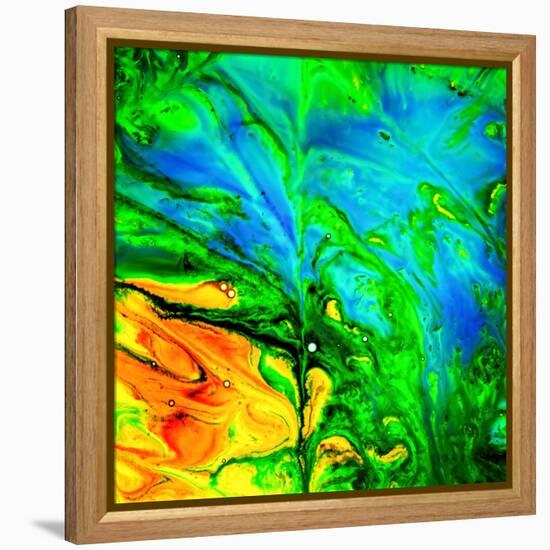 Water Garden-Ursula Abresch-Framed Premier Image Canvas