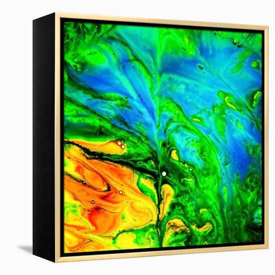 Water Garden-Ursula Abresch-Framed Premier Image Canvas