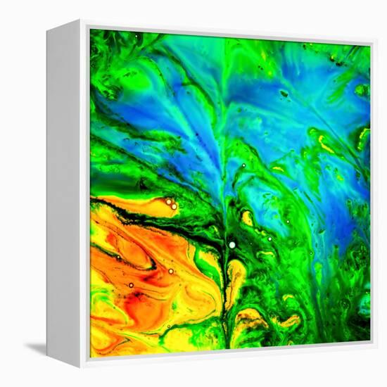 Water Garden-Ursula Abresch-Framed Premier Image Canvas