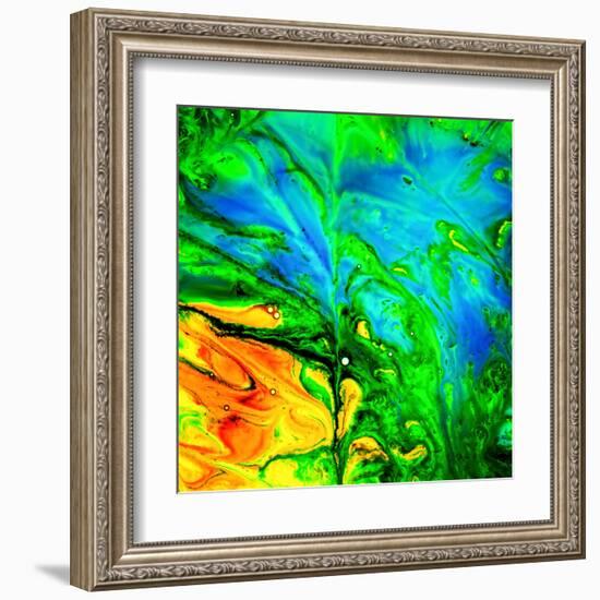 Water Garden-Ursula Abresch-Framed Premium Photographic Print