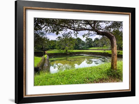 Water Gardens at Sigiriya Rock Fortress (Lion Rock)-Matthew Williams-Ellis-Framed Photographic Print