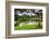 Water Gardens at Sigiriya Rock Fortress (Lion Rock)-Matthew Williams-Ellis-Framed Photographic Print