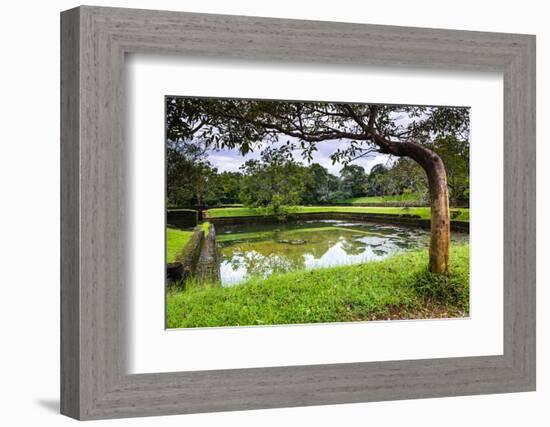 Water Gardens at Sigiriya Rock Fortress (Lion Rock)-Matthew Williams-Ellis-Framed Photographic Print