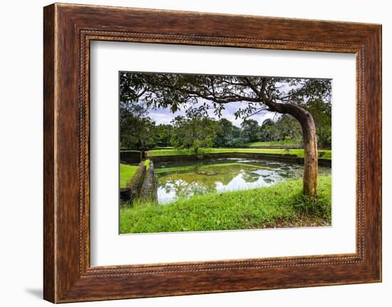 Water Gardens at Sigiriya Rock Fortress (Lion Rock)-Matthew Williams-Ellis-Framed Photographic Print