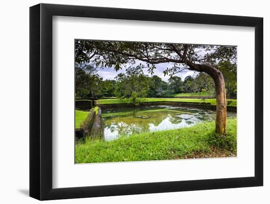 Water Gardens at Sigiriya Rock Fortress (Lion Rock)-Matthew Williams-Ellis-Framed Photographic Print