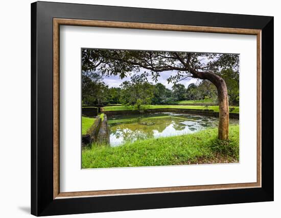 Water Gardens at Sigiriya Rock Fortress (Lion Rock)-Matthew Williams-Ellis-Framed Photographic Print