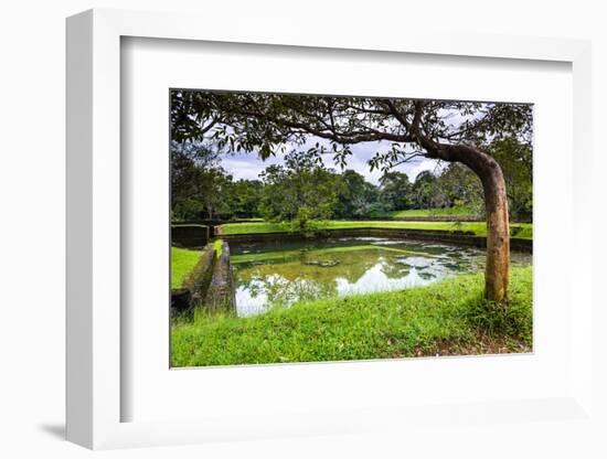 Water Gardens at Sigiriya Rock Fortress (Lion Rock)-Matthew Williams-Ellis-Framed Photographic Print