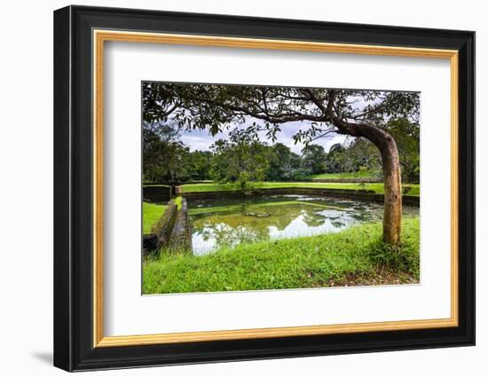 Water Gardens at Sigiriya Rock Fortress (Lion Rock)-Matthew Williams-Ellis-Framed Photographic Print