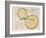 Water Gourd and Cherry Blossoms-Rosh?-Framed Giclee Print