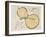 Water Gourd and Cherry Blossoms-Rosh?-Framed Giclee Print