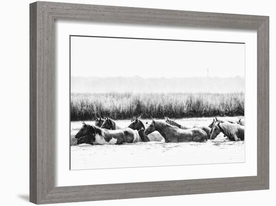 Water Horses III-PHBurchett-Framed Art Print