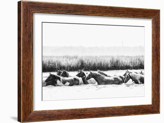 Water Horses III-PHBurchett-Framed Art Print