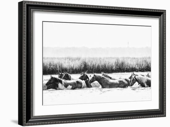 Water Horses III-PHBurchett-Framed Art Print