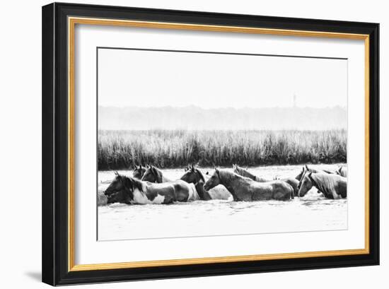 Water Horses III-PHBurchett-Framed Art Print