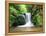 Water in a Forest, Geroldsau Waterfall, Black Forest, Baden-Wurttemberg, Germany-null-Framed Premier Image Canvas