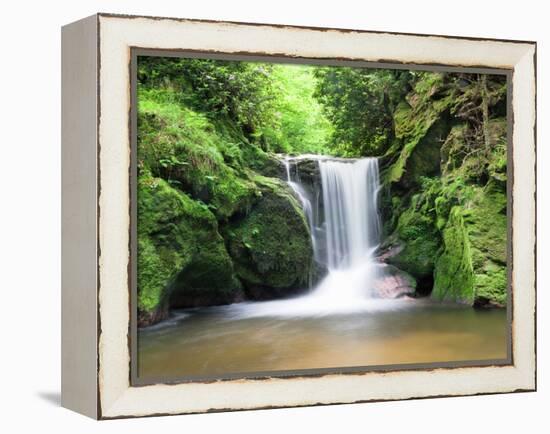 Water in a Forest, Geroldsau Waterfall, Black Forest, Baden-Wurttemberg, Germany-null-Framed Premier Image Canvas