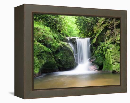 Water in a Forest, Geroldsau Waterfall, Black Forest, Baden-Wurttemberg, Germany-null-Framed Premier Image Canvas