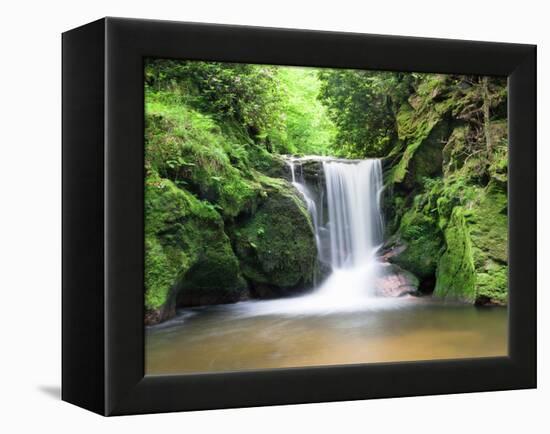 Water in a Forest, Geroldsau Waterfall, Black Forest, Baden-Wurttemberg, Germany-null-Framed Premier Image Canvas