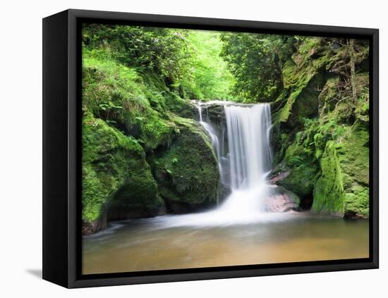 Water in a Forest, Geroldsau Waterfall, Black Forest, Baden-Wurttemberg, Germany-null-Framed Premier Image Canvas