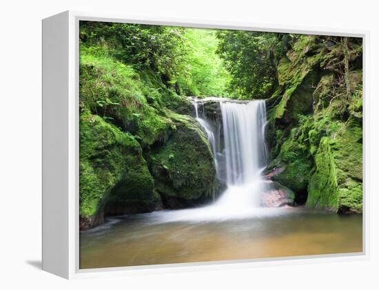 Water in a Forest, Geroldsau Waterfall, Black Forest, Baden-Wurttemberg, Germany-null-Framed Premier Image Canvas