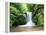 Water in a Forest, Geroldsau Waterfall, Black Forest, Baden-Wurttemberg, Germany-null-Framed Premier Image Canvas