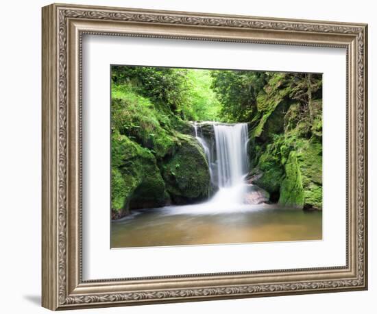 Water in a Forest, Geroldsau Waterfall, Black Forest, Baden-Wurttemberg, Germany-null-Framed Photographic Print