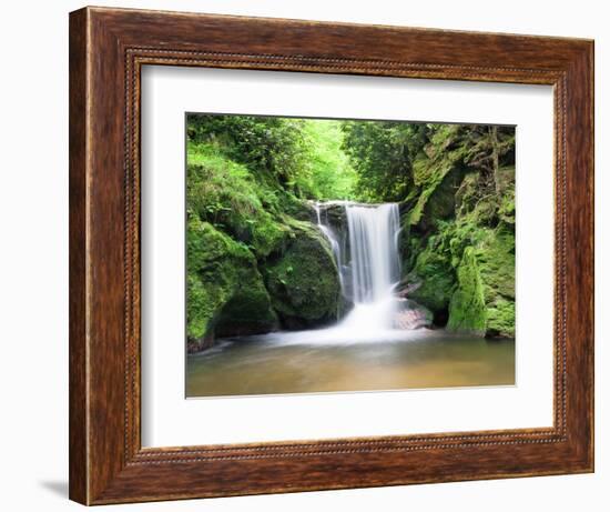 Water in a Forest, Geroldsau Waterfall, Black Forest, Baden-Wurttemberg, Germany-null-Framed Photographic Print