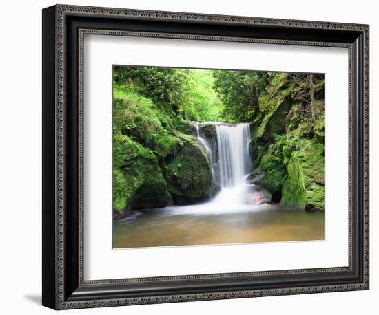 Water in a Forest, Geroldsau Waterfall, Black Forest, Baden-Wurttemberg, Germany-null-Framed Photographic Print