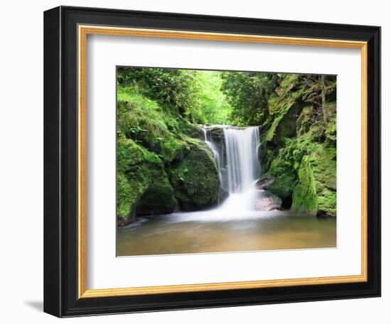 Water in a Forest, Geroldsau Waterfall, Black Forest, Baden-Wurttemberg, Germany-null-Framed Photographic Print