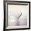 Water in a Glass Bowl-Myan Soffia-Framed Photographic Print