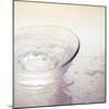 Water in a Glass Bowl-Myan Soffia-Mounted Photographic Print