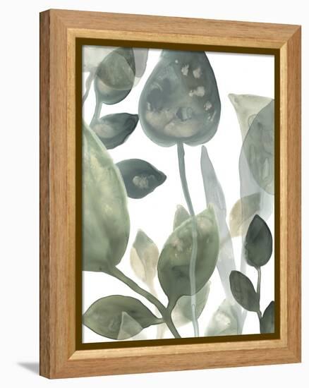 Water Leaves I-June Erica Vess-Framed Stretched Canvas