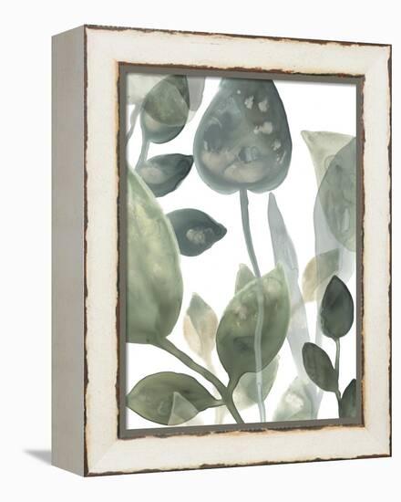 Water Leaves I-June Erica Vess-Framed Stretched Canvas