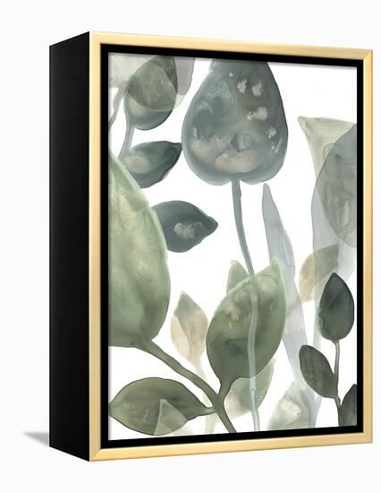 Water Leaves I-June Erica Vess-Framed Stretched Canvas