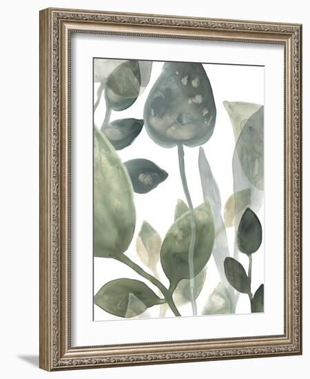 Water Leaves I-June Erica Vess-Framed Art Print