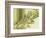 Water Leaves II-Mali Nave-Framed Giclee Print