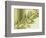 Water Leaves II-Mali Nave-Framed Giclee Print