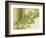 Water Leaves II-Mali Nave-Framed Giclee Print