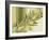 Water Leaves II-Mali Nave-Framed Giclee Print