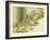 Water Leaves II-Mali Nave-Framed Giclee Print