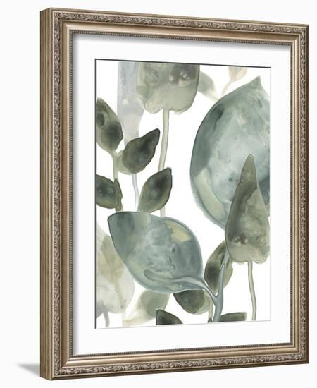 Water Leaves II-June Erica Vess-Framed Art Print