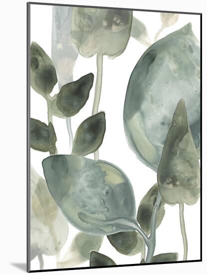 Water Leaves II-June Erica Vess-Mounted Art Print