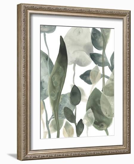 Water Leaves III-June Erica Vess-Framed Art Print