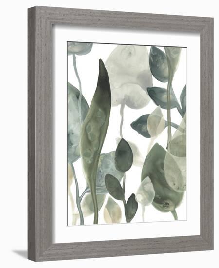 Water Leaves III-June Erica Vess-Framed Art Print