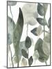 Water Leaves III-June Erica Vess-Mounted Art Print