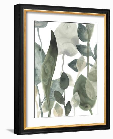 Water Leaves III-June Erica Vess-Framed Art Print