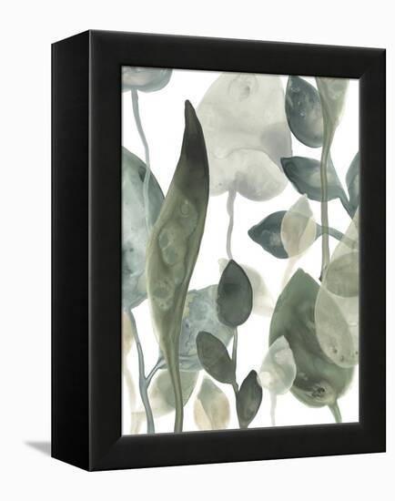 Water Leaves III-June Erica Vess-Framed Stretched Canvas