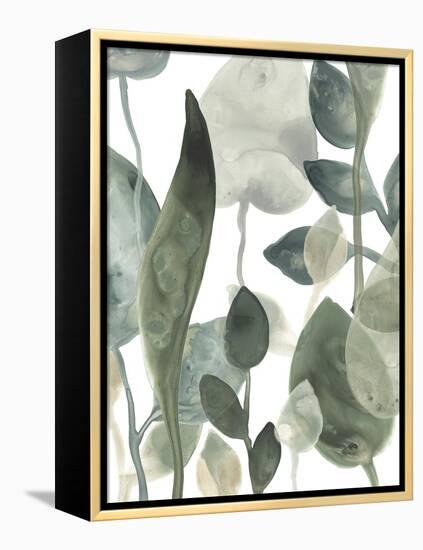 Water Leaves III-June Erica Vess-Framed Stretched Canvas